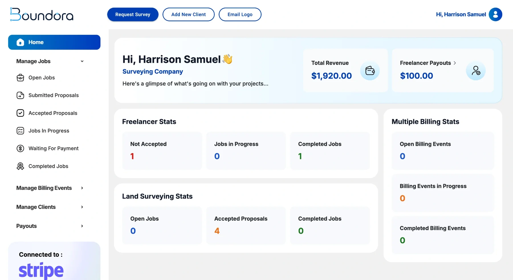 SurveySource surveying company dashboard showing revenue, payouts, freelancer statistics, land surveying statistics and billing events